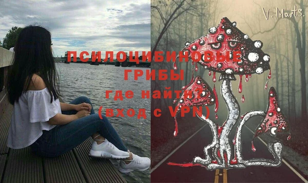 мдпв Медногорск